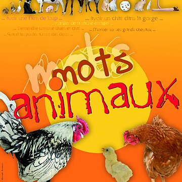 Mots animaux