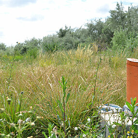 Les eaux souterraines : une ressource à préserver