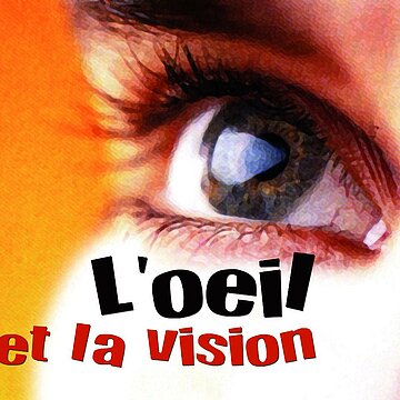 L'oeil et la vision