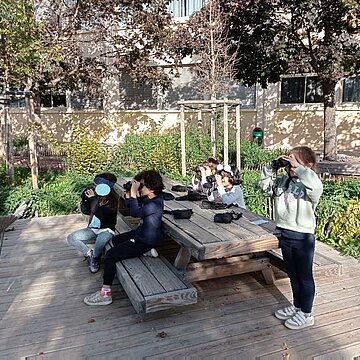Animations sur le thème des oiseaux