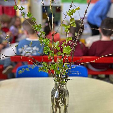 Sortie sur le thème des arbres et des bourgeons