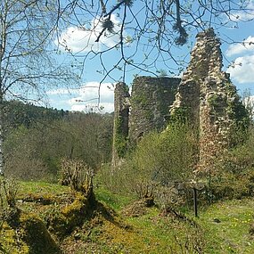 Visites découvertes du site de la chartreuse