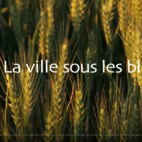 Vidéo : La ville sous les blés - Charbonnier-les-Mines