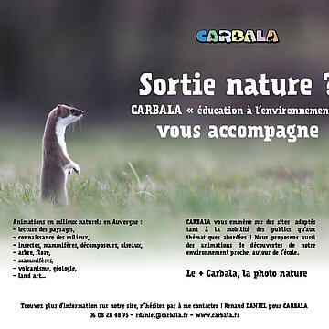 CARBALA