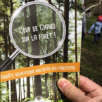 Jeu de piste « Coup de chaud sur la forêt ! »