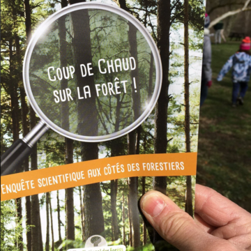 Jeu de piste « Coup de chaud sur la forêt ! »