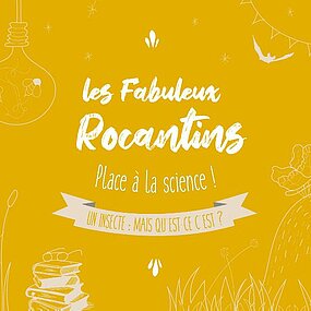 Les fabuleux Rocantins, place à la science : Qu'est-ce qu'un insecte ?