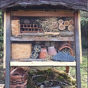 Jardinons avec les petites bêtes