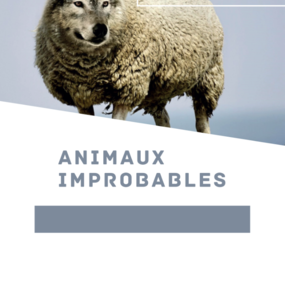 Animaux improbables