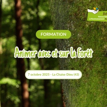 Animer avec et sur la forêt