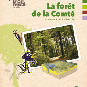 La forêt de la Comté, une ode à la biodiversité