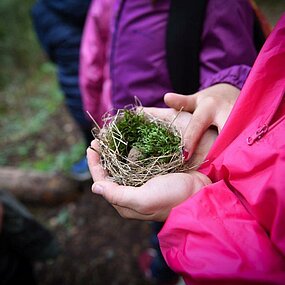 Activité : Biodiversité du chemin des Muletiers (primaire)