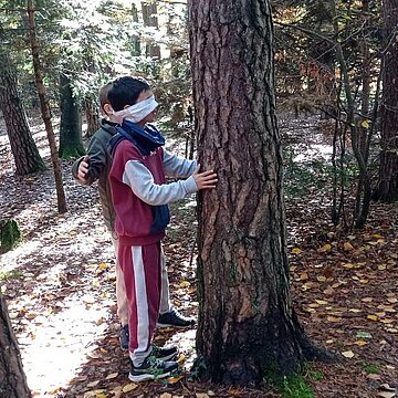 Animation Nature avec le centre de loisirs de Lempdes sur le site de Theix