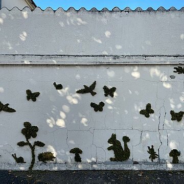 Graff Végétal à l'espace Mercoeur